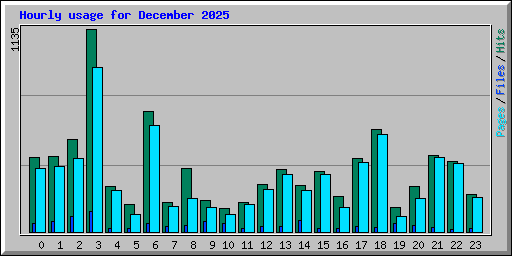 Hourly usage for December 2025